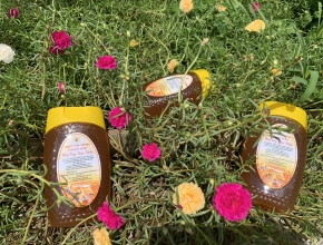Thanh Hảo - Nhà cung cấp số lượng lớn mật ong thiên nhiên nguyên chất 100%